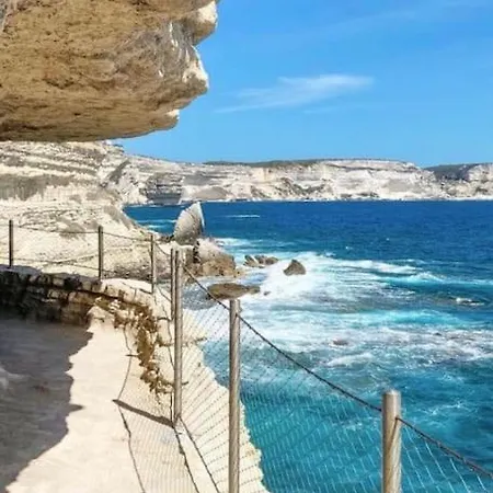 Bonifacio* *