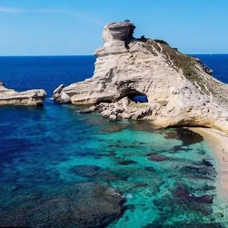 Bonifacio*